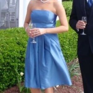 Ann Taylor tea length silk dress